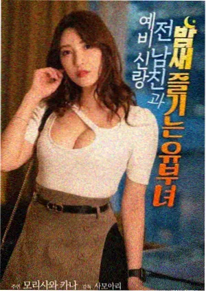 玻璃刮与伸缩杆组合清洁落地窗的特写